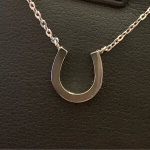 Lucky Horseshoe Necklace 16”+2” Stainless Steel